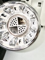 IMG_2100.jpeg