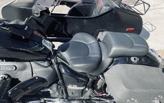 IMG_3782.jpeg