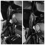 IMG_2049.jpeg