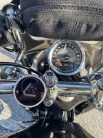 IMG_1771.jpeg