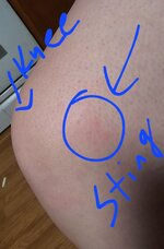 20240526_200343.jpg