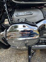 IMG_2381.jpeg
