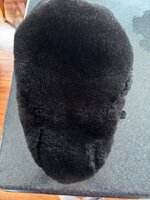 IMG_2223.jpeg