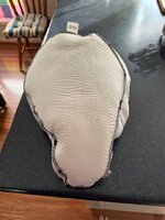 IMG_2225.jpeg