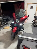 IMG_1895 Medium.jpeg