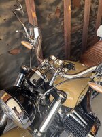 IMG_6923.jpeg
