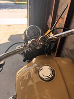 IMG_6922.jpeg
