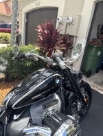 IMG_6553.jpeg