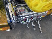 IMG_5167.jpeg