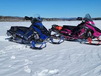 LJE Sleds.jpg