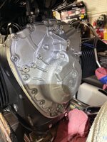 IMG_0348.jpeg