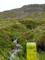 IMG_2551.jpeg