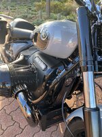 IMG_6409.jpeg