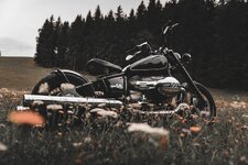 IMG_0628.jpeg