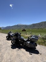 IMG_2082.jpeg
