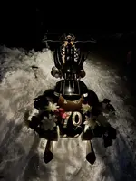 IMG-3e7c7db15827855009841ca3c86e96d1-V.webp